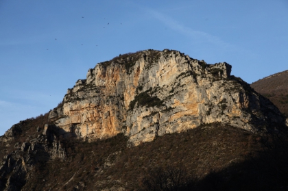 Ocher cliffs and vultures