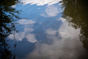 Water