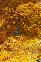 Colors