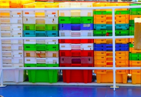 Colors