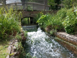 Water