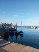 Life