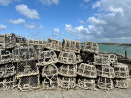 Colors