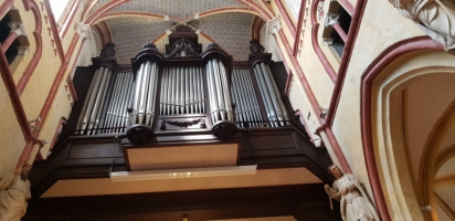 Colors