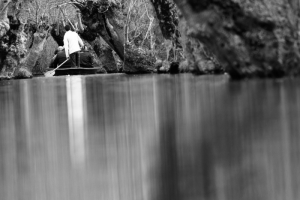 Marais Poitevin (JACQUES TORKHANI)