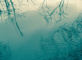 Marais Poitevin