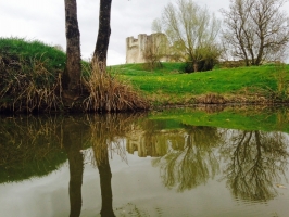 Marais Poitevin (Merlin)