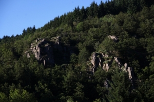 Des falaises protégées car paradis des rapaces