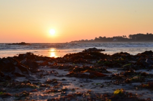 Île d'Yeu : 8ème Photo Trek