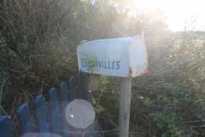 Nature Île d'Yeu (MANON)