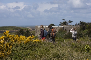 Iles Chausey