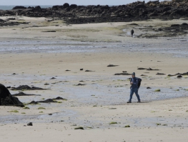 Iles Chausey