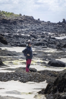 Iles Chausey