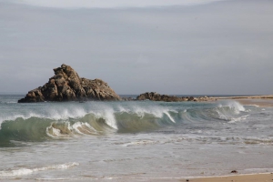 Grosse vague
