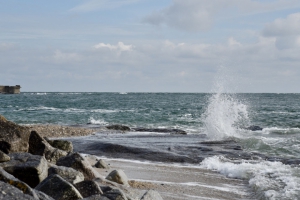 Life